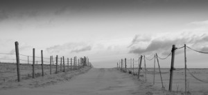 Winter 2015 Sea'nLand Photography