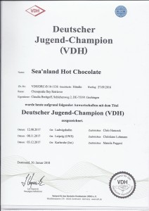 Sea'nLand Hot Chocolate - JCh VDH Sea'nLand Hot Chocolate - JCh VDH
