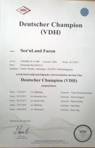 Sea'nLand Faron - dt. Ch VDH Sea'nLand Faron - dt. Ch VDH